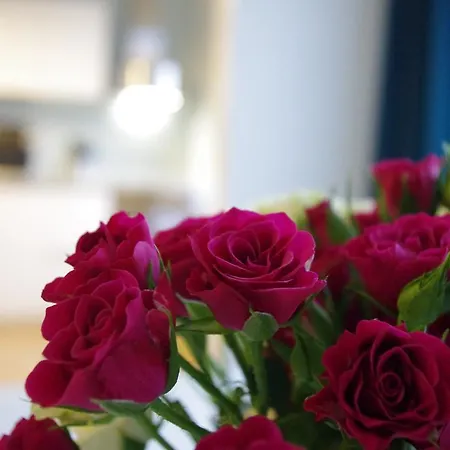 Apartment Borent